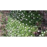 Zdjęcia użytkowników Sony Xperia M4 Aqua Zdjęcia użytkowników Sony Xperia M4 Aqua