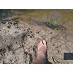 Zdjęcia użytkowników Sony Xperia M4 Aqua Zdjęcia użytkowników Sony Xperia M4 Aqua