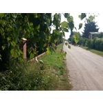 ZDJĘCIA Z TEGO TELEFONU