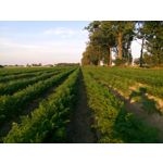 Zdjęcia użytkowników Sony Xperia M5 Zdjęcia użytkowników Sony Xperia M5
