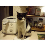 Zdjęcia użytkowników Sony Xperia miro Zdjęcia użytkowników Sony Xperia miro