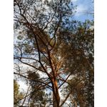 Zdjęcia użytkowników Sony Xperia PRO-I Zdjęcia użytkowników Sony Xperia PRO-I