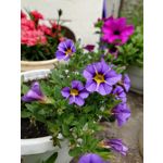 Zdjęcia użytkowników Sony Xperia PRO-I Zdjęcia użytkowników Sony Xperia PRO-I