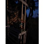 Zdjęcia użytkowników Sony Xperia PRO-I Zdjęcia użytkowników Sony Xperia PRO-I