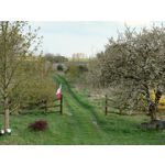 Zdjęcia użytkowników Sony Xperia PRO-I Zdjęcia użytkowników Sony Xperia PRO-I