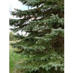 Zdjęcia użytkowników Sony Xperia PRO-I Zdjęcia użytkowników Sony Xperia PRO-I