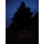 Zdjęcia użytkowników Sony Xperia PRO-I Zdjęcia użytkowników Sony Xperia PRO-I