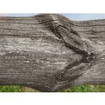 Zdjęcia użytkowników Sony Xperia PRO-I Zdjęcia użytkowników Sony Xperia PRO-I