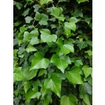 Zdjęcia użytkowników Sony Xperia PRO-I Zdjęcia użytkowników Sony Xperia PRO-I