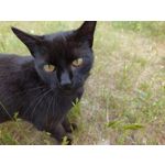 Zdjęcia użytkowników Sony Xperia PRO-I Zdjęcia użytkowników Sony Xperia PRO-I