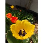 Zdjęcia użytkowników Sony Xperia PRO-I Zdjęcia użytkowników Sony Xperia PRO-I