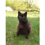 Zdjęcia użytkowników Sony Xperia PRO-I Zdjęcia użytkowników Sony Xperia PRO-I