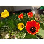 Zdjęcia użytkowników Sony Xperia PRO-I Zdjęcia użytkowników Sony Xperia PRO-I