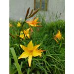 Zdjęcia użytkowników Sony Xperia PRO-I Zdjęcia użytkowników Sony Xperia PRO-I