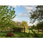 Zdjęcia użytkowników Sony Xperia PRO-I Zdjęcia użytkowników Sony Xperia PRO-I