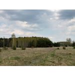 Zdjęcia użytkowników Sony Xperia PRO-I Zdjęcia użytkowników Sony Xperia PRO-I