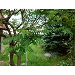 Zdjęcia użytkowników Sony Xperia PRO-I Zdjęcia użytkowników Sony Xperia PRO-I