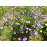 Zdjęcia użytkowników Sony Xperia PRO-I Zdjęcia użytkowników Sony Xperia PRO-I