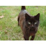 Zdjęcia użytkowników Sony Xperia PRO-I Zdjęcia użytkowników Sony Xperia PRO-I