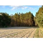 Zdjęcia użytkowników Sony Xperia PRO-I Zdjęcia użytkowników Sony Xperia PRO-I