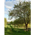 Zdjęcia użytkowników Sony Xperia PRO-I Zdjęcia użytkowników Sony Xperia PRO-I