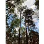 Zdjęcia użytkowników Sony Xperia PRO-I Zdjęcia użytkowników Sony Xperia PRO-I