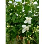 Zdjęcia użytkowników Sony Xperia PRO-I Zdjęcia użytkowników Sony Xperia PRO-I