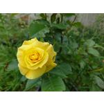 Zdjęcia użytkowników Sony Xperia PRO-I Zdjęcia użytkowników Sony Xperia PRO-I