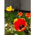 Zdjęcia użytkowników Sony Xperia PRO-I Zdjęcia użytkowników Sony Xperia PRO-I