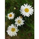 Zdjęcia użytkowników Sony Xperia PRO-I Zdjęcia użytkowników Sony Xperia PRO-I