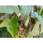 Zdjęcia użytkowników Sony Xperia PRO-I Zdjęcia użytkowników Sony Xperia PRO-I