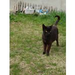 Zdjęcia użytkowników Sony Xperia PRO-I Zdjęcia użytkowników Sony Xperia PRO-I