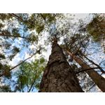 Zdjęcia użytkowników Sony Xperia PRO-I Zdjęcia użytkowników Sony Xperia PRO-I