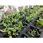 Zdjęcia użytkowników Sony Xperia PRO-I Zdjęcia użytkowników Sony Xperia PRO-I