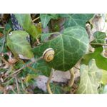 Zdjęcia użytkowników Sony Xperia PRO-I Zdjęcia użytkowników Sony Xperia PRO-I