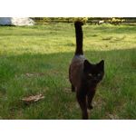 Zdjęcia użytkowników Sony Xperia PRO-I Zdjęcia użytkowników Sony Xperia PRO-I