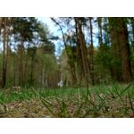 Zdjęcia użytkowników Sony Xperia PRO-I Zdjęcia użytkowników Sony Xperia PRO-I