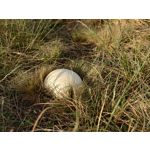 Zdjęcia użytkowników Sony Xperia PRO-I Zdjęcia użytkowników Sony Xperia PRO-I