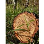 Zdjęcia użytkowników Sony Xperia PRO-I Zdjęcia użytkowników Sony Xperia PRO-I