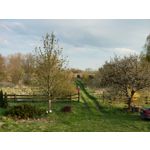 Zdjęcia użytkowników Sony Xperia PRO-I Zdjęcia użytkowników Sony Xperia PRO-I