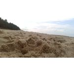 ZDJĘCIA Z TEGO TELEFONU ZDJĘCIA Z TEGO TELEFONU