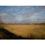 Zdjęcia użytkowników Sony Xperia SP Zdjęcia użytkowników Sony Xperia SP