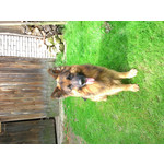 Zdjęcia użytkowników Sony Xperia SP Zdjęcia użytkowników Sony Xperia SP