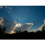 Zdjęcia użytkowników Sony Xperia SP Zdjęcia użytkowników Sony Xperia SP