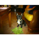 Zdjęcia użytkowników Sony Xperia SP Zdjęcia użytkowników Sony Xperia SP