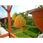 Zdjęcia użytkowników Sony Xperia SP Zdjęcia użytkowników Sony Xperia SP