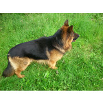 Zdjęcia użytkowników Sony Xperia SP Zdjęcia użytkowników Sony Xperia SP