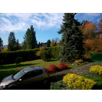 Zdjęcia użytkowników Sony Xperia SP Zdjęcia użytkowników Sony Xperia SP