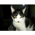 Zdjęcia użytkowników Sony Xperia T HSPA Zdjęcia użytkowników Sony Xperia T HSPA