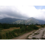 Zdjęcia użytkowników Sony Xperia T HSPA Zdjęcia użytkowników Sony Xperia T HSPA